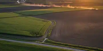Sunrise over expansive farmlands, representing the agricultural sector's future under the 2026 Farm Bill.